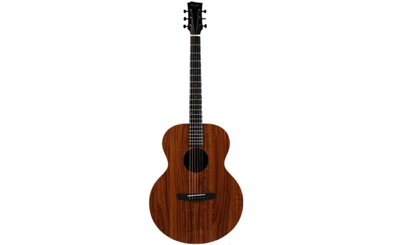 ENYA EA-X1+ - акустическая гитара