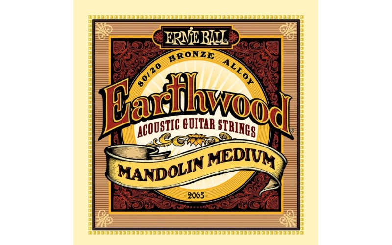 Ernie Ball 2065 струны для мандолины Earthwood 80/20 Bronze Medium Light (10-14-24w-36)