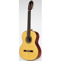 Esteve 12 CD + Кейс мастеровая классическая гитара