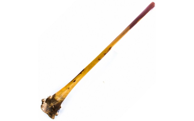 Ethno Magic Диджериду Эвкалипт  Корень 150 см