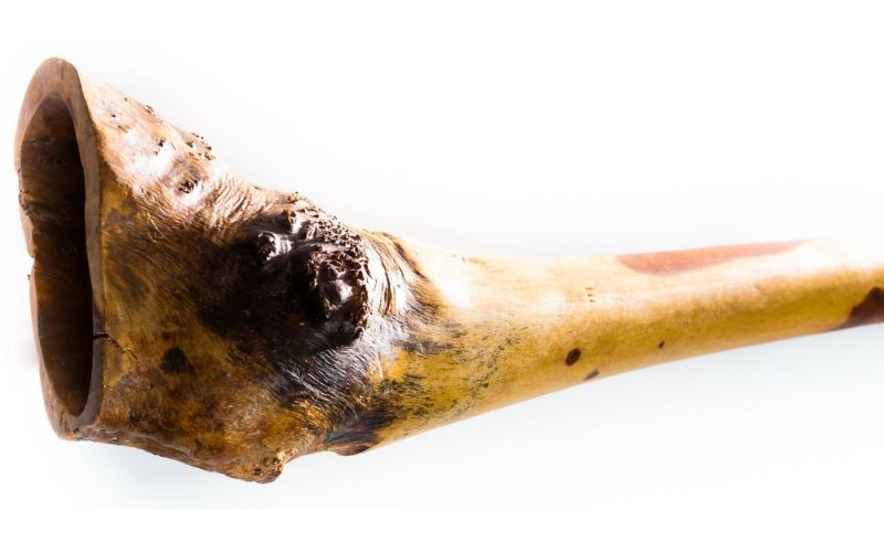 Ethno Magic Диджериду Эвкалипт  Корень 150 см