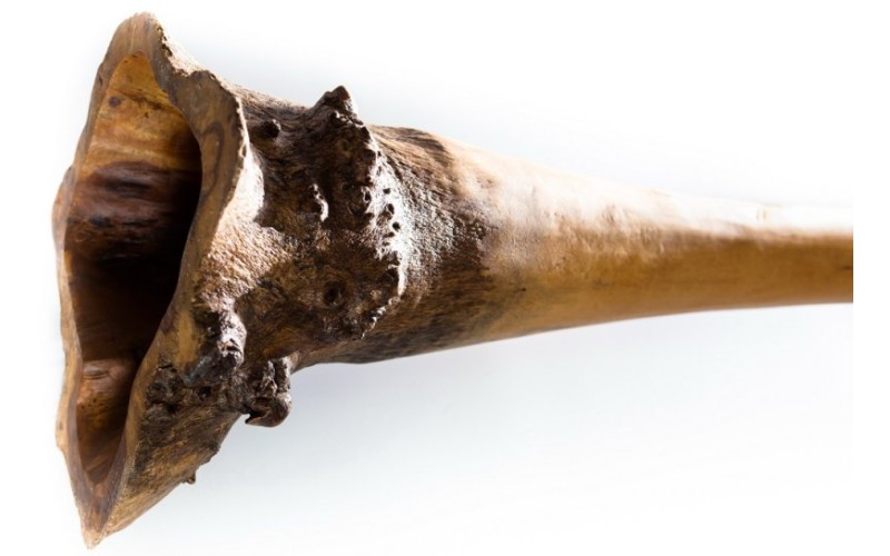 Ethno Magic Диджериду Эвкалипт  Корень 150 см