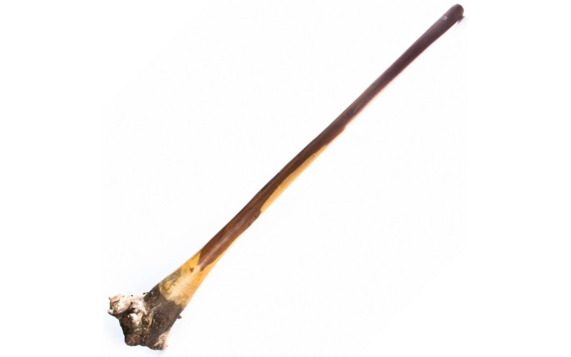 Ethno Magic Диджериду Эвкалипт  Корень 150 см