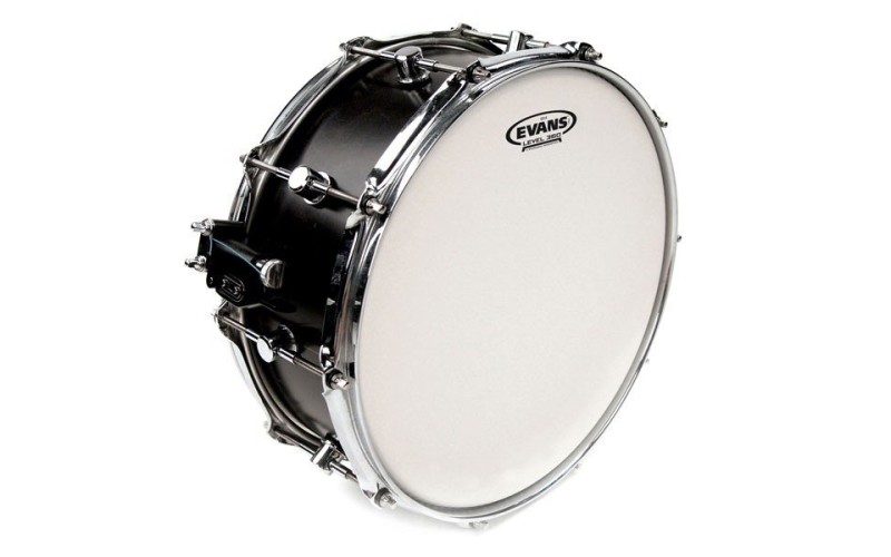 EVANS B13G14 - пластик 13