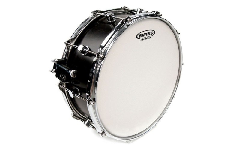 EVANS B14G14 - пластик 14