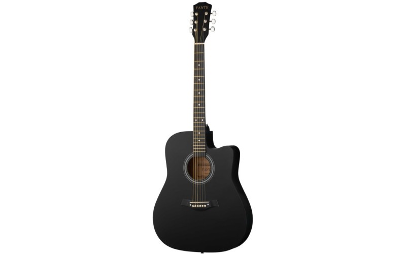 FANTE FT-221-BK Акустическая гитара 41