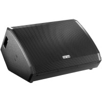 FBT VENTIS 115M двухполосный пассивный монитор