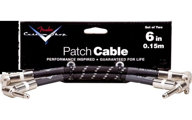 FENDER CUSTOM SHOP 6