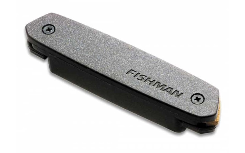 Fishman PRO-NEO-D01 Neo-D Гитарный магнитный звукосниматель, черный