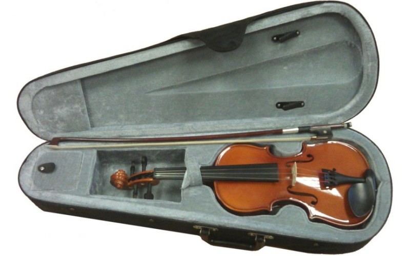 FLEET FLT-VP4/4 Скрипка в комплекте