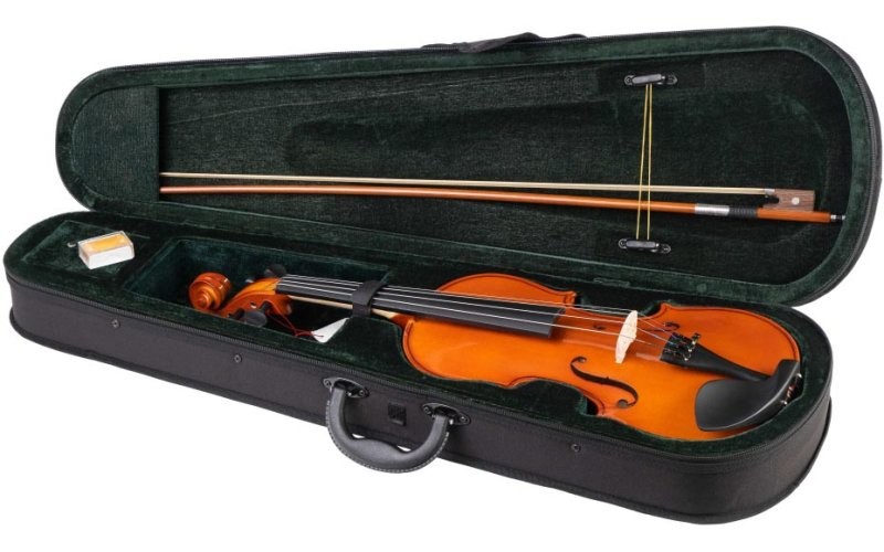 FLEET FLT-VP4/4 Скрипка в комплекте