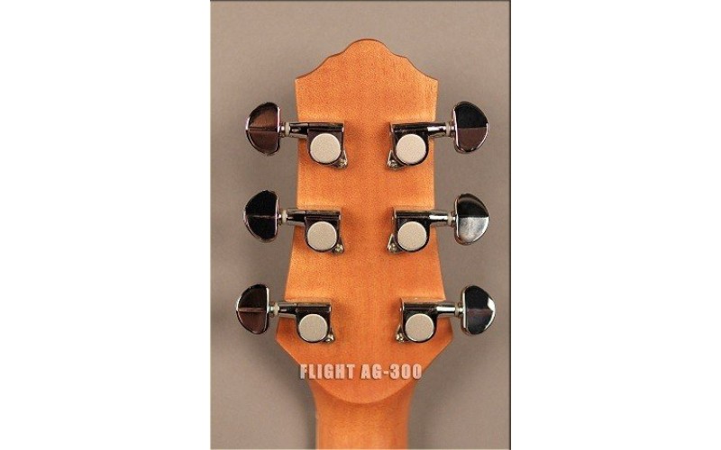 FLIGHT AG-300C NS - акустическая гитара