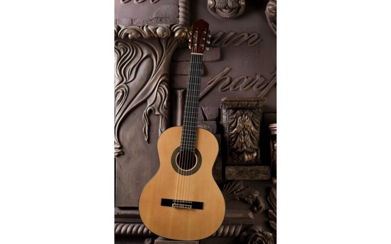 FLIGHT C-250 NA - классическая гитара