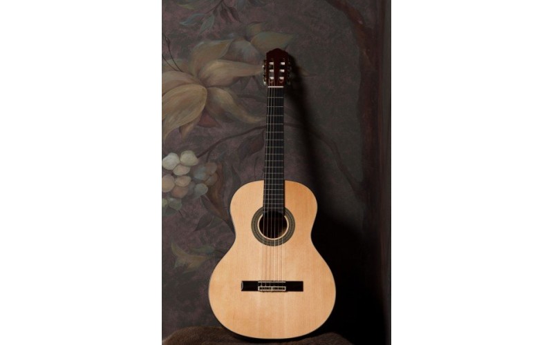 FLIGHT C-250 NA - классическая гитара