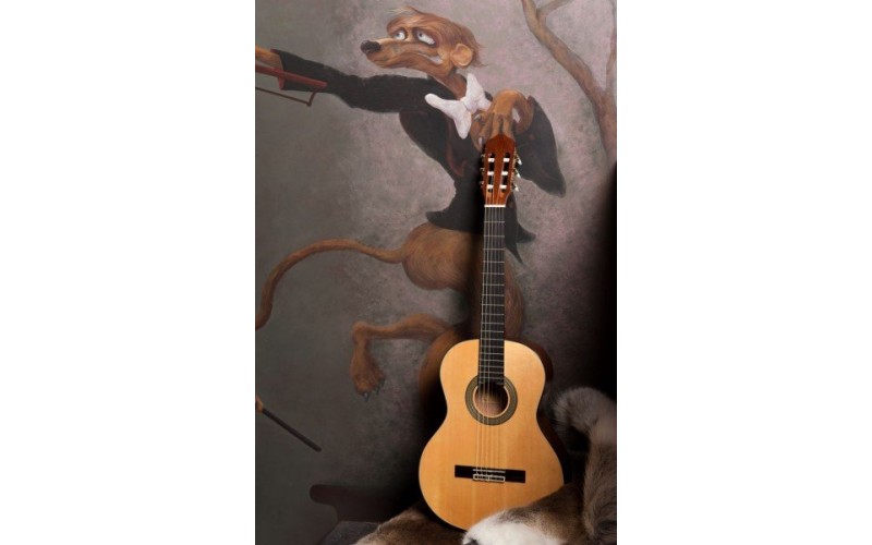 FLIGHT C-250 NA - классическая гитара