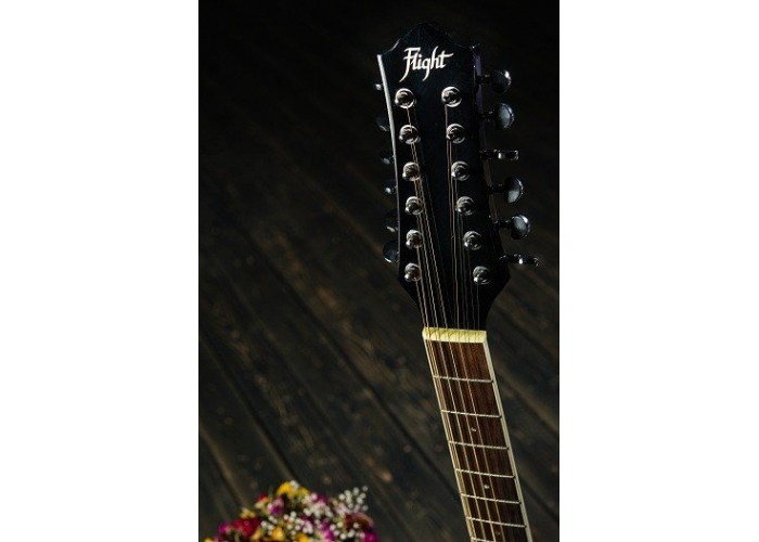 Купить двенадцатиструнную гитару FLIGHT D 200/12 BK EQ 12 в нашем ...
