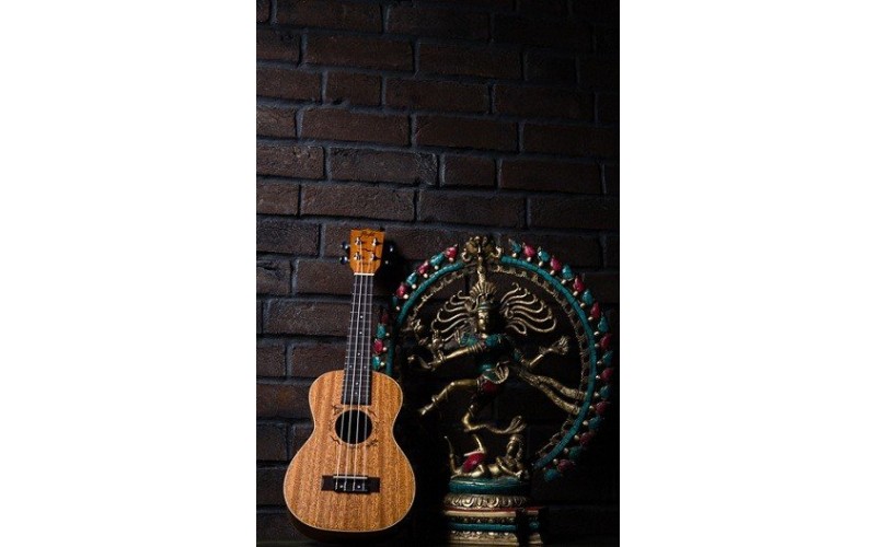 FLIGHT DUC 323 CEQ MAH/MAH - укулеле, концерт