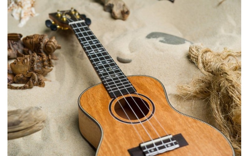 FLIGHT DUC 450 MANGO/MANGO - укулеле концерт + чехол, манго