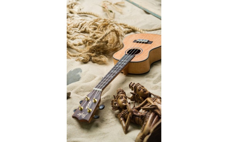 FLIGHT DUC 450 MANGO/MANGO - укулеле концерт + чехол, манго