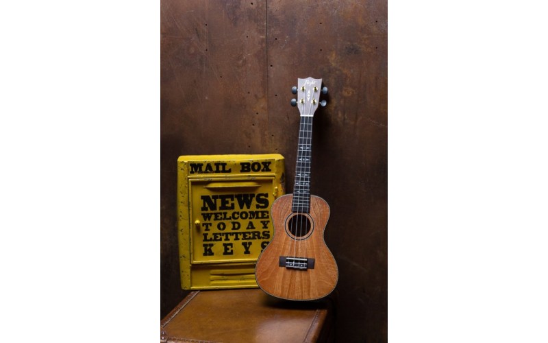 FLIGHT DUC 450 MANGO/MANGO - укулеле концерт + чехол, манго