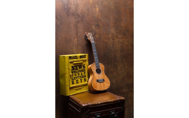 FLIGHT DUC 450 MANGO/MANGO - укулеле концерт + чехол, манго