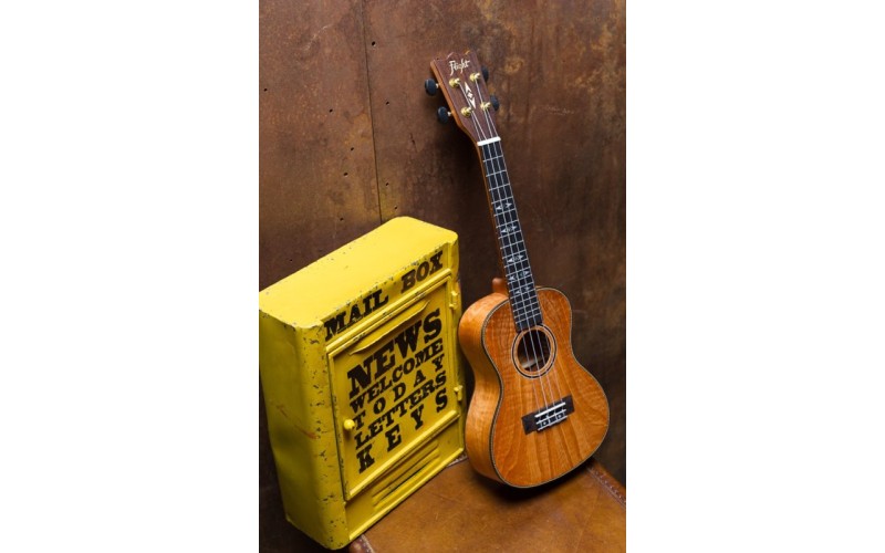 FLIGHT DUC 450 MANGO/MANGO - укулеле концерт + чехол, манго