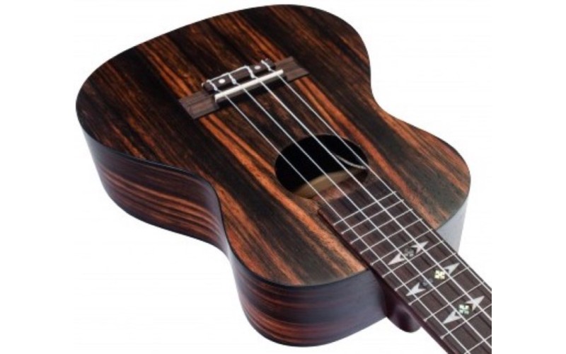 FLIGHT DUC 460 CEQ AMARA - укулеле концерт