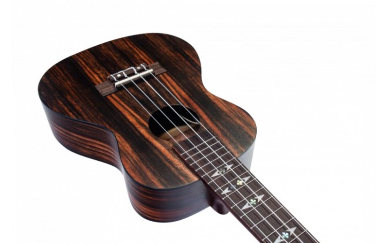 FLIGHT DUC 460 CEQ AMARA - укулеле концерт