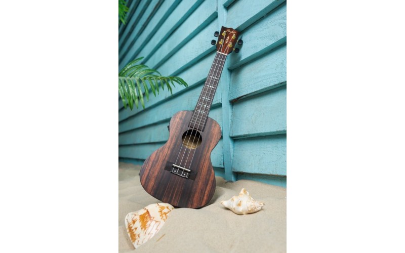 FLIGHT DUC 460 CEQ AMARA - укулеле концерт