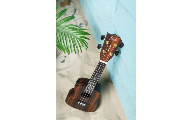 FLIGHT DUC 460 CEQ AMARA - укулеле концерт