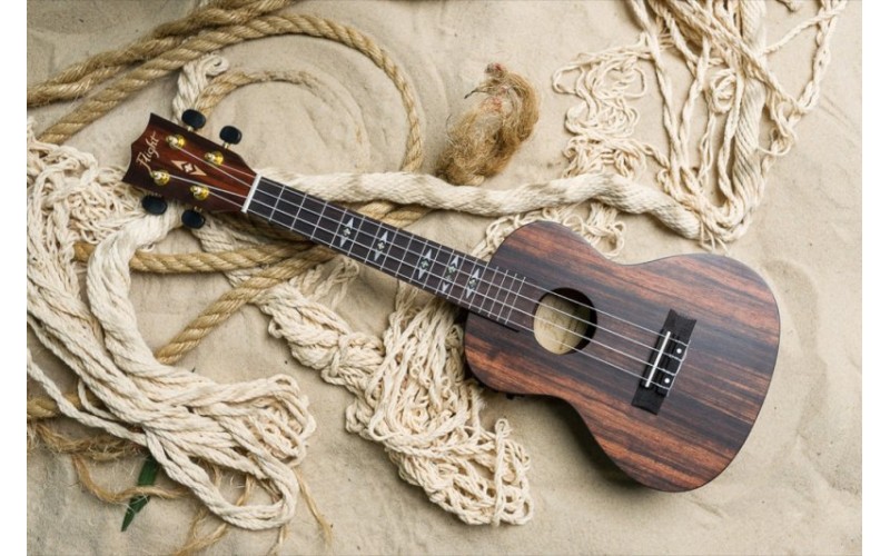 FLIGHT DUC 460 CEQ AMARA - укулеле концерт