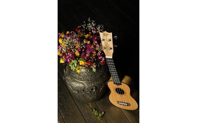 FLIGHT DUS 525 SP/ZEB - укулеле, сопрано