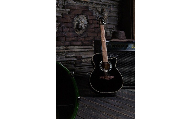 FLIGHT F-230C BK - фолк гитара