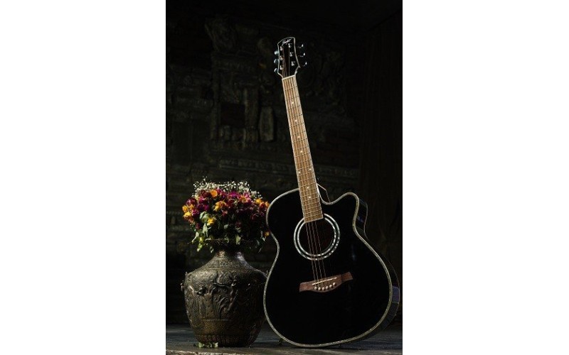 FLIGHT F-230C BK - фолк гитара