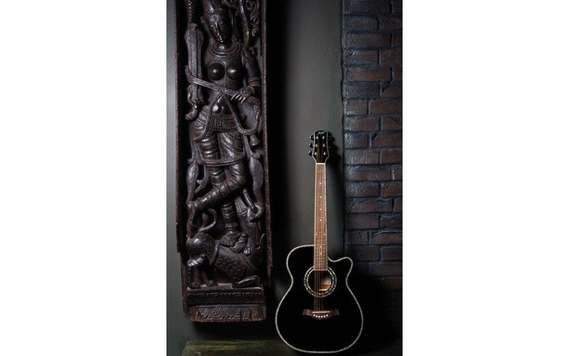 FLIGHT F-230C BK - фолк гитара