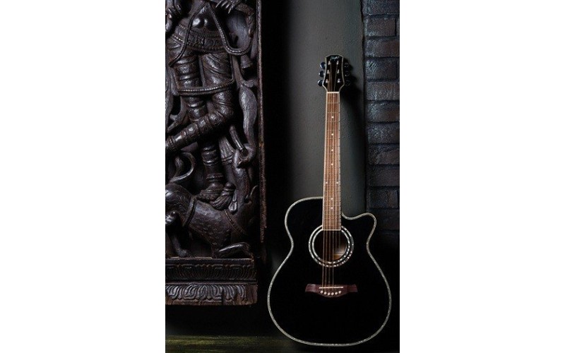 FLIGHT F-230C BK - фолк гитара