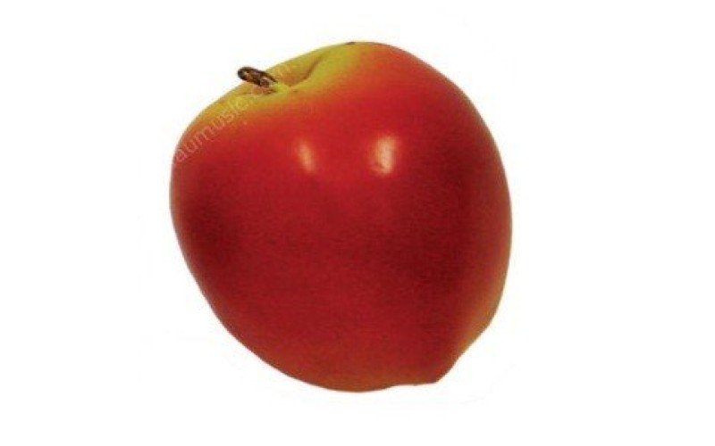 FLIGHT FM-03 - пластиковый шейкер (яблоко)