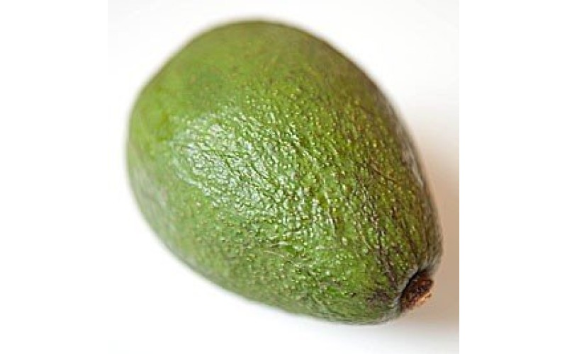 FLIGHT FM-06 - пластиковый шейкер (авокадо)