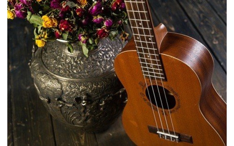 FLIGHT NUB 310 - укулеле, баритон