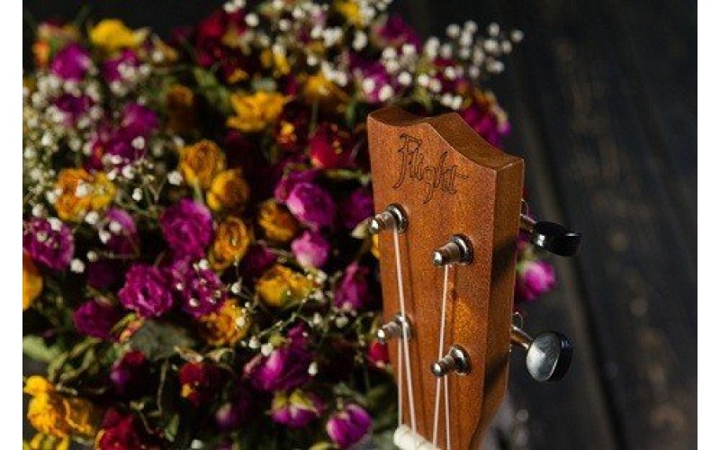 FLIGHT NUS 310 - укулеле, сопрано