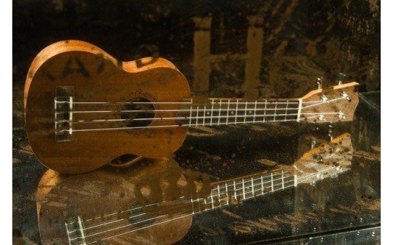 FLIGHT NUS 310 - укулеле, сопрано