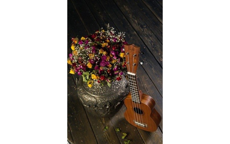 FLIGHT NUS 310 - укулеле, сопрано