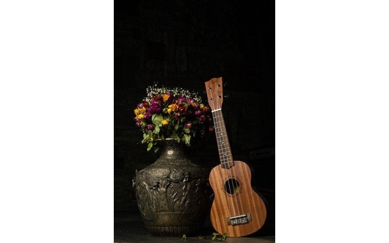 FLIGHT NUS 310 - укулеле, сопрано