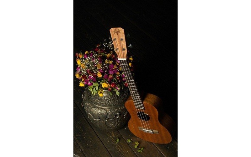 FLIGHT NUT 310 - укулеле, тенор