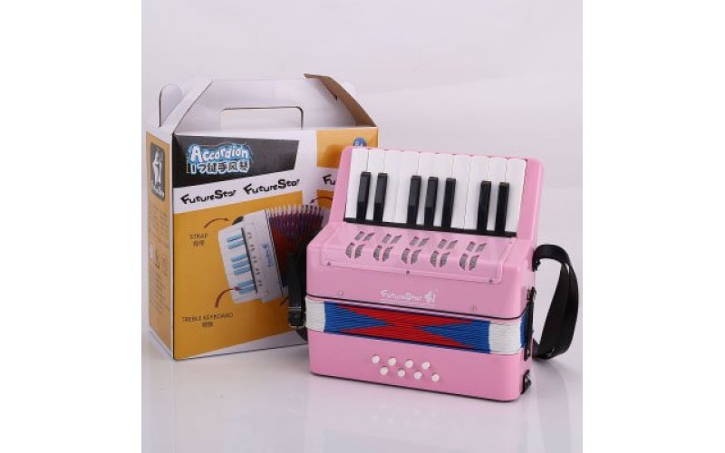Future Star FF-17K PK Аккордеон детский
