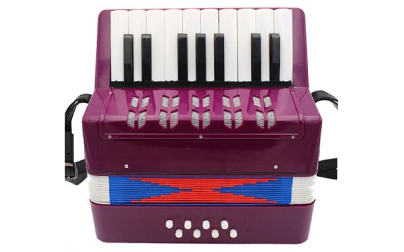 Future Star FF-17K PL Аккордеон детский