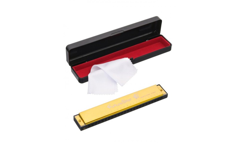 Future Star FF-2419 GD губная гармошка, цвет - золотой, диатоническая, тональность - до мажор, 24 от