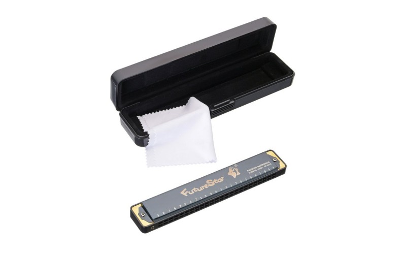 Future Star QF-2418 BK губная гармошка, цвет - чёрный, диатоническая, тональность - до мажор, 24 отв