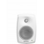 Genelec 4020CWM активная акустическая система