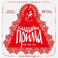 Господин Музыкант BP29N PROFI 